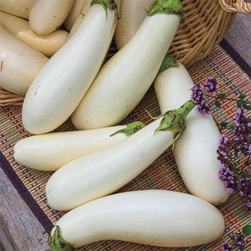 تصویر 4 از خرید و قیمت بادمجان سفید + فروش صادراتی